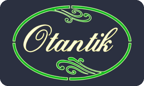 Otantik — DMT Dijital referansı