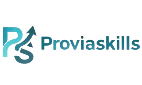 ProviaSkills — DMT Dijital referansı
